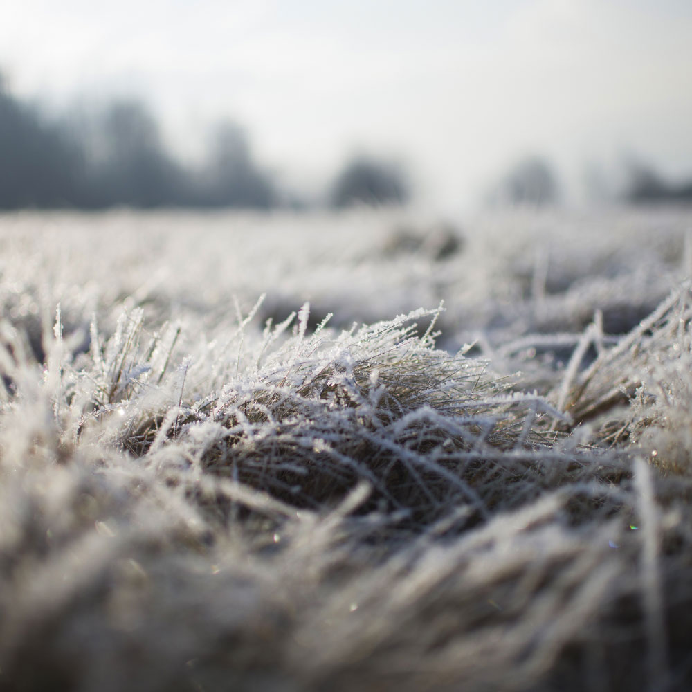Frozen ground in winter causes radon to seep into your home taking the path of least resistance 